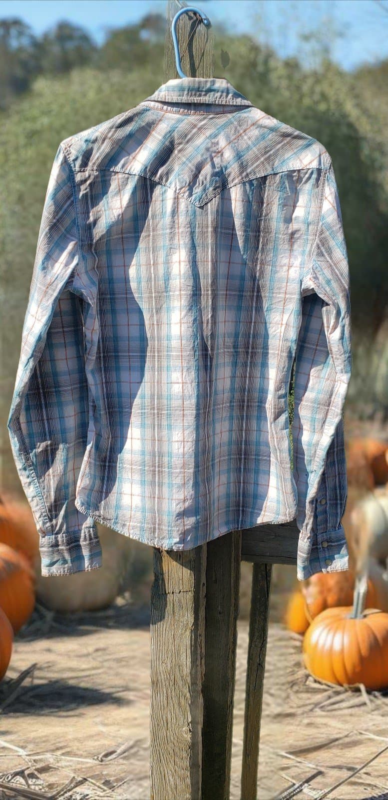 Hollister Button Up Shirt Ladies Medium Blue White Long Sleeve Casual. Small - Thumbnail 2