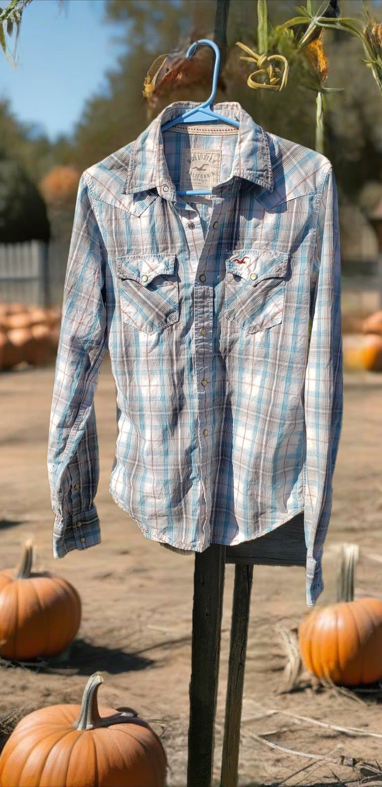 Hollister Button Up Shirt Ladies Medium Blue White Long Sleeve Casual. Small - Image 1