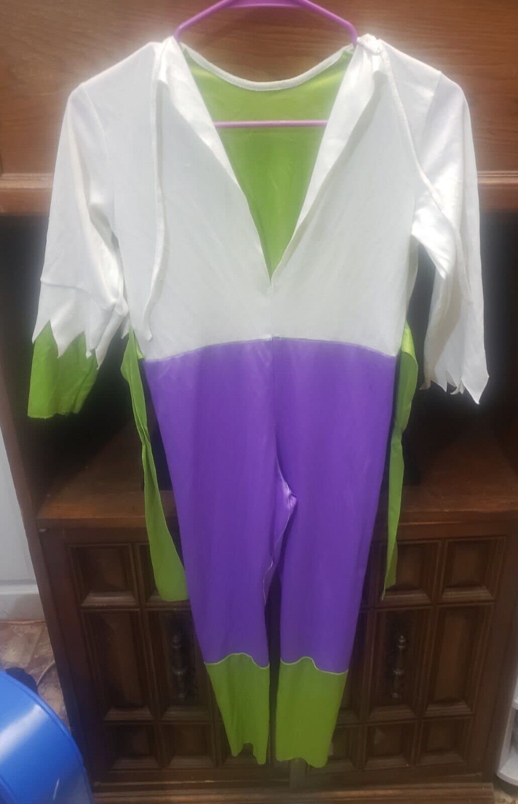 DC Comics the Hulk (Halloween, Costume Party) Size 8-10 - Image 1