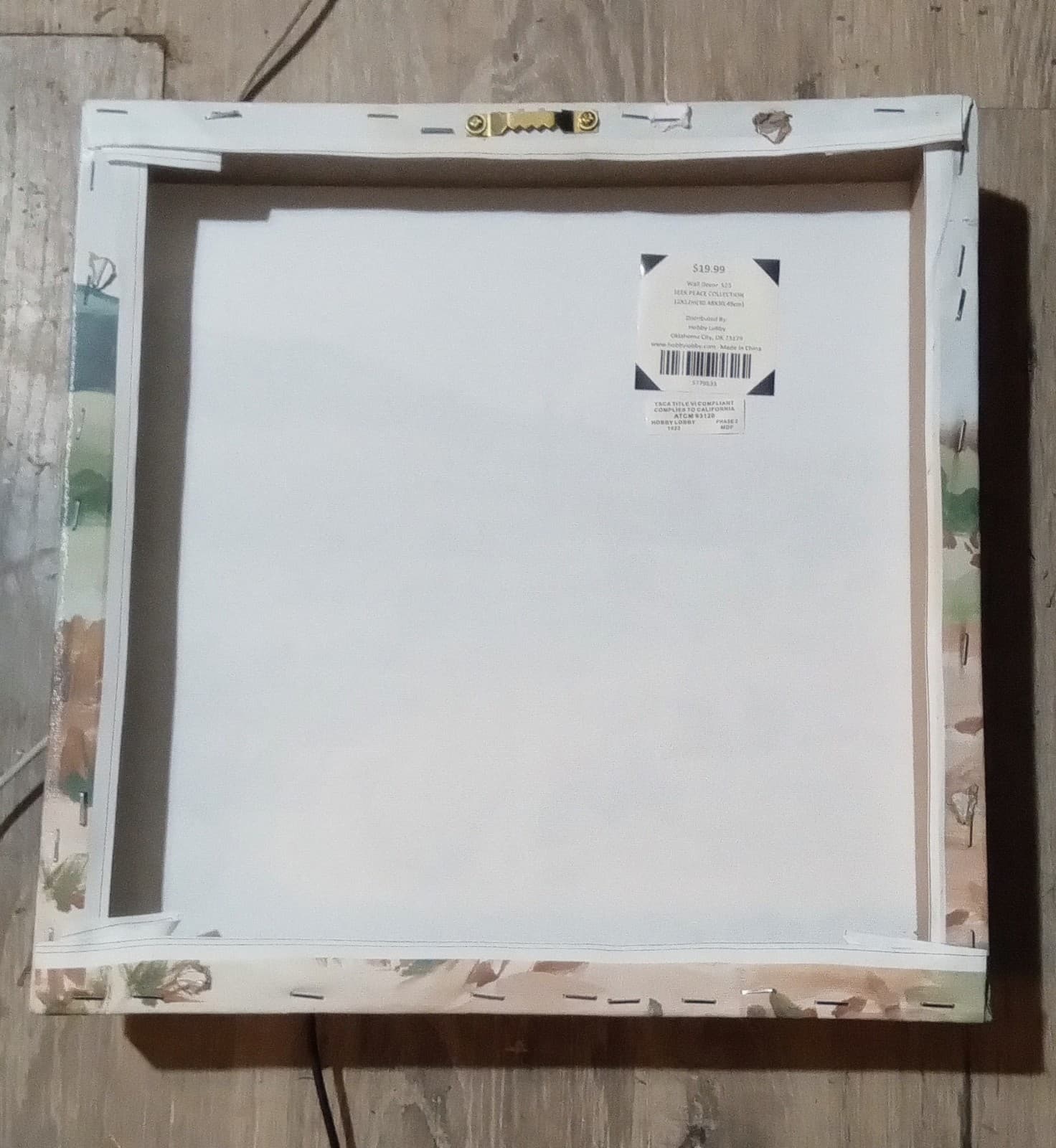 Cactus Field I by Isabelle Z canvas art print - Thumbnail 2