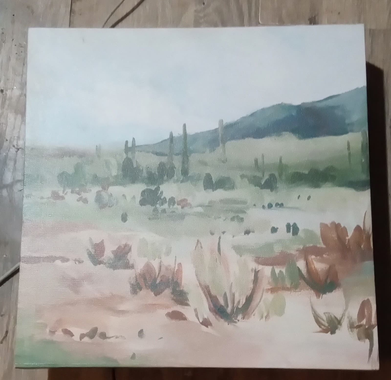 Cactus Field I by Isabelle Z canvas art print - Image 1