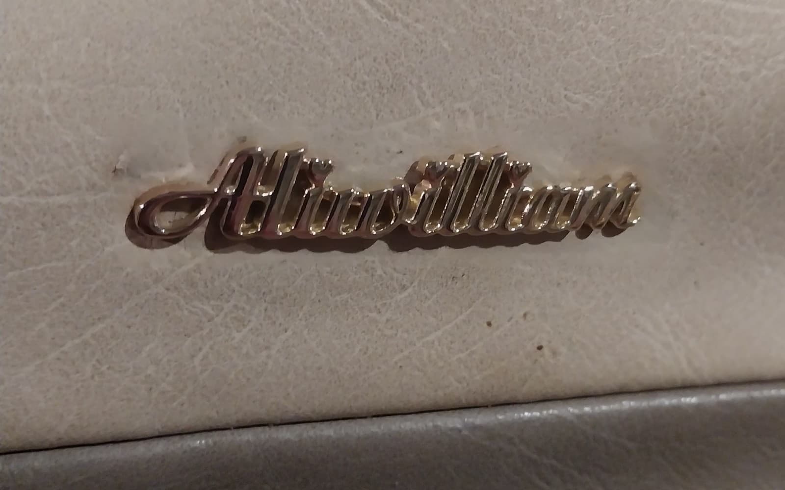 Aliwilliams multi color purse/bag - Thumbnail 4