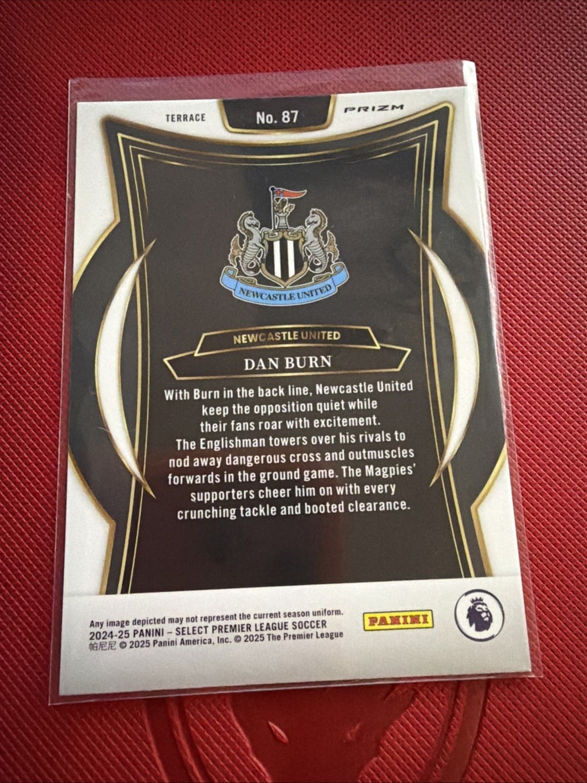 Dan Burn 2024-25 Panini Select Premier League Terrace ICE #87 - Thumbnail 2