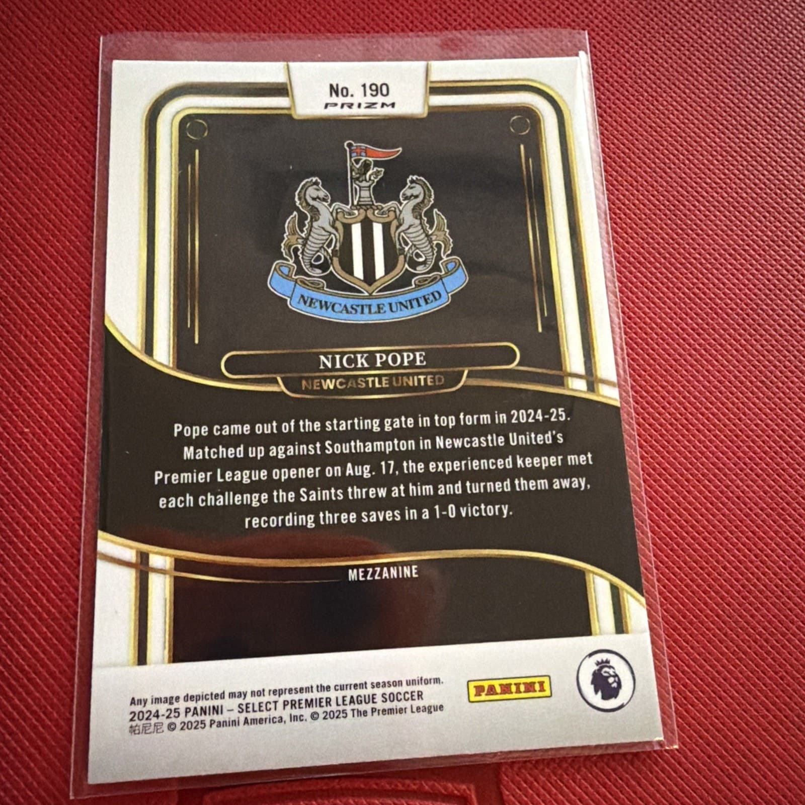 Nick Pope 2024-25 Panini Select Premier League Silver Ice Prizm - Thumbnail 2