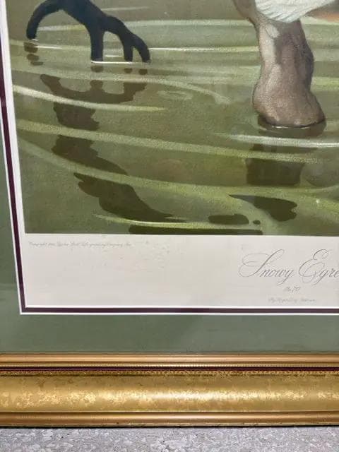 "Snowy Egret" By Roger Tory Peterson Framed Print - Thumbnail 2