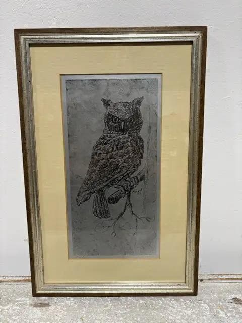 Silver Owl Framed Print By Ford - Image 1