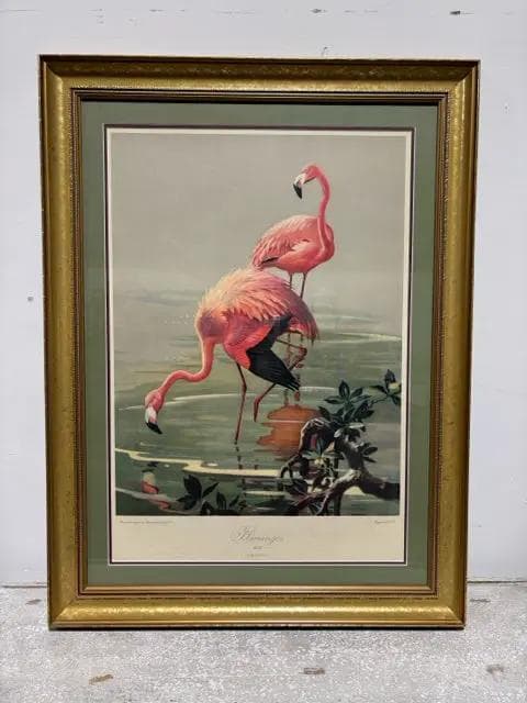"Flamingos" By Roger Tory Peterson Framed Print - Image 1