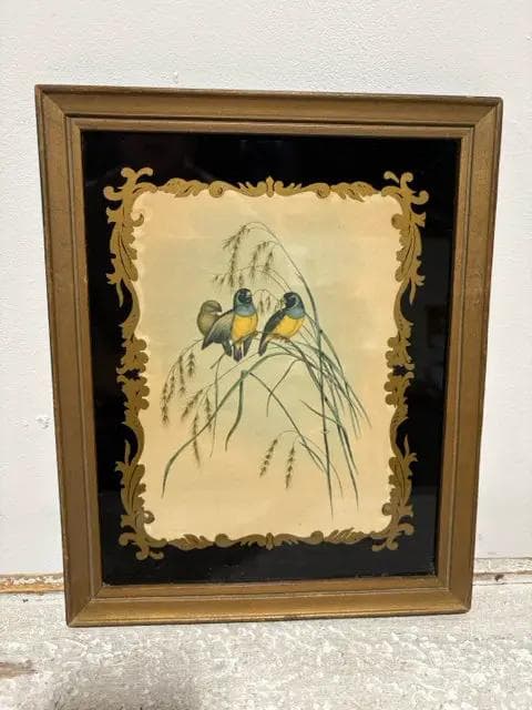 "Birds" By Gould Framed Print - Image 1