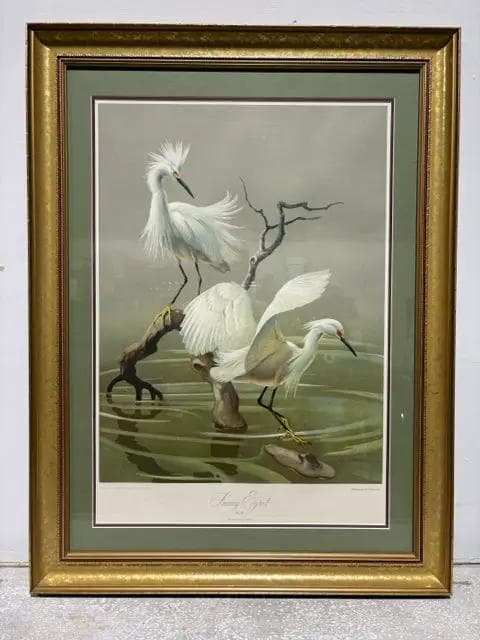"Snowy Egret" By Roger Tory Peterson Framed Print - Image 1