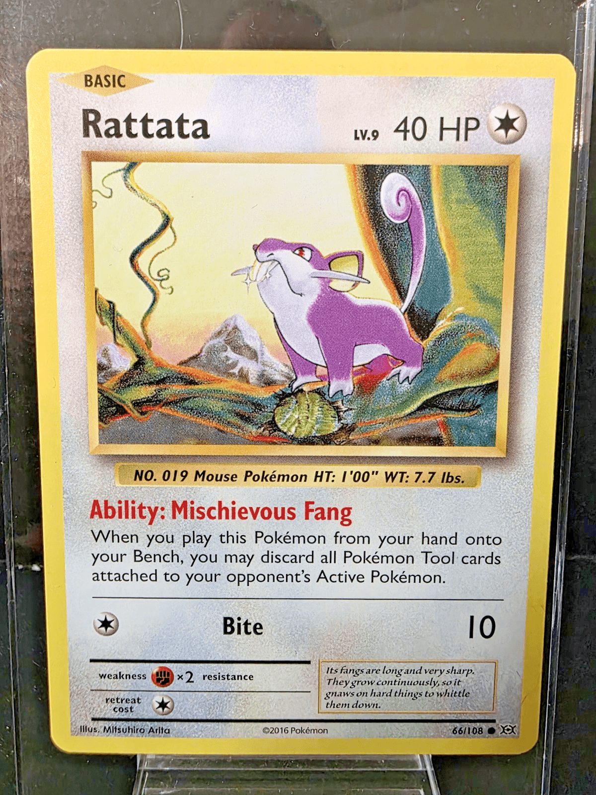 Pokemon TCG Rattata 66/108 XY Evolutions NM