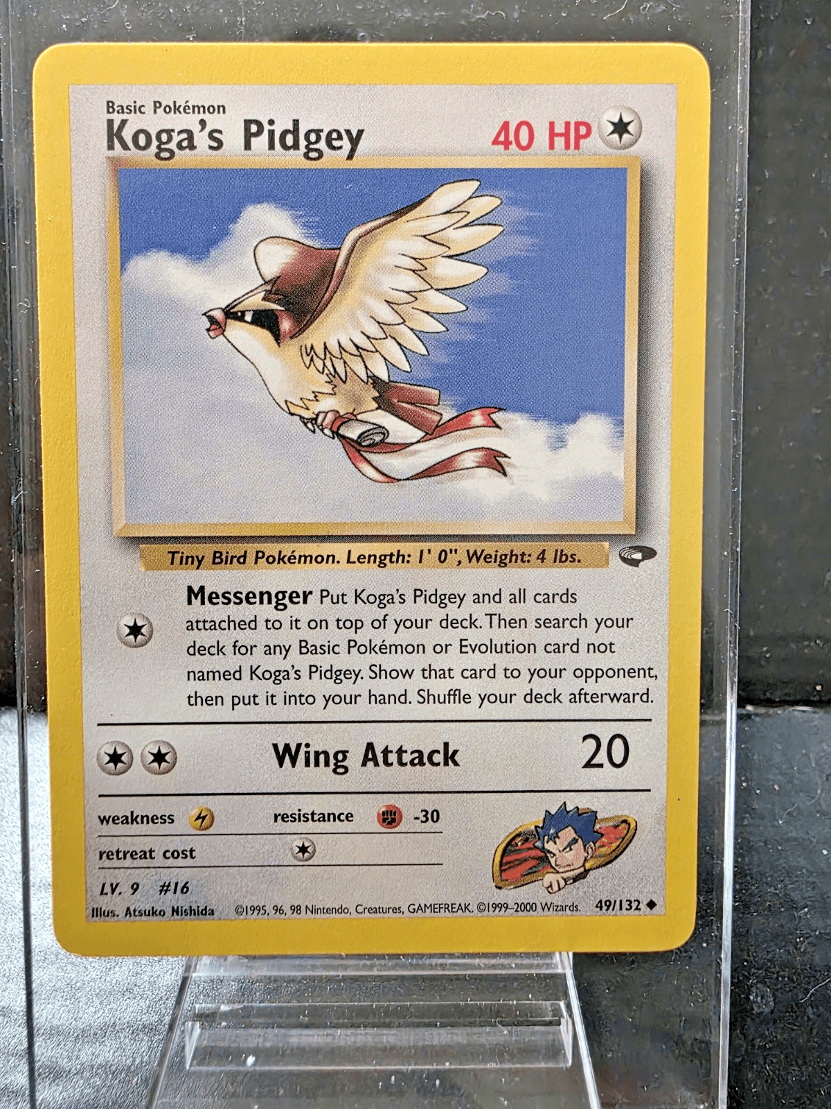 Pokemon TCG Kogas Pidgey 49/132 Gym Challenge NM