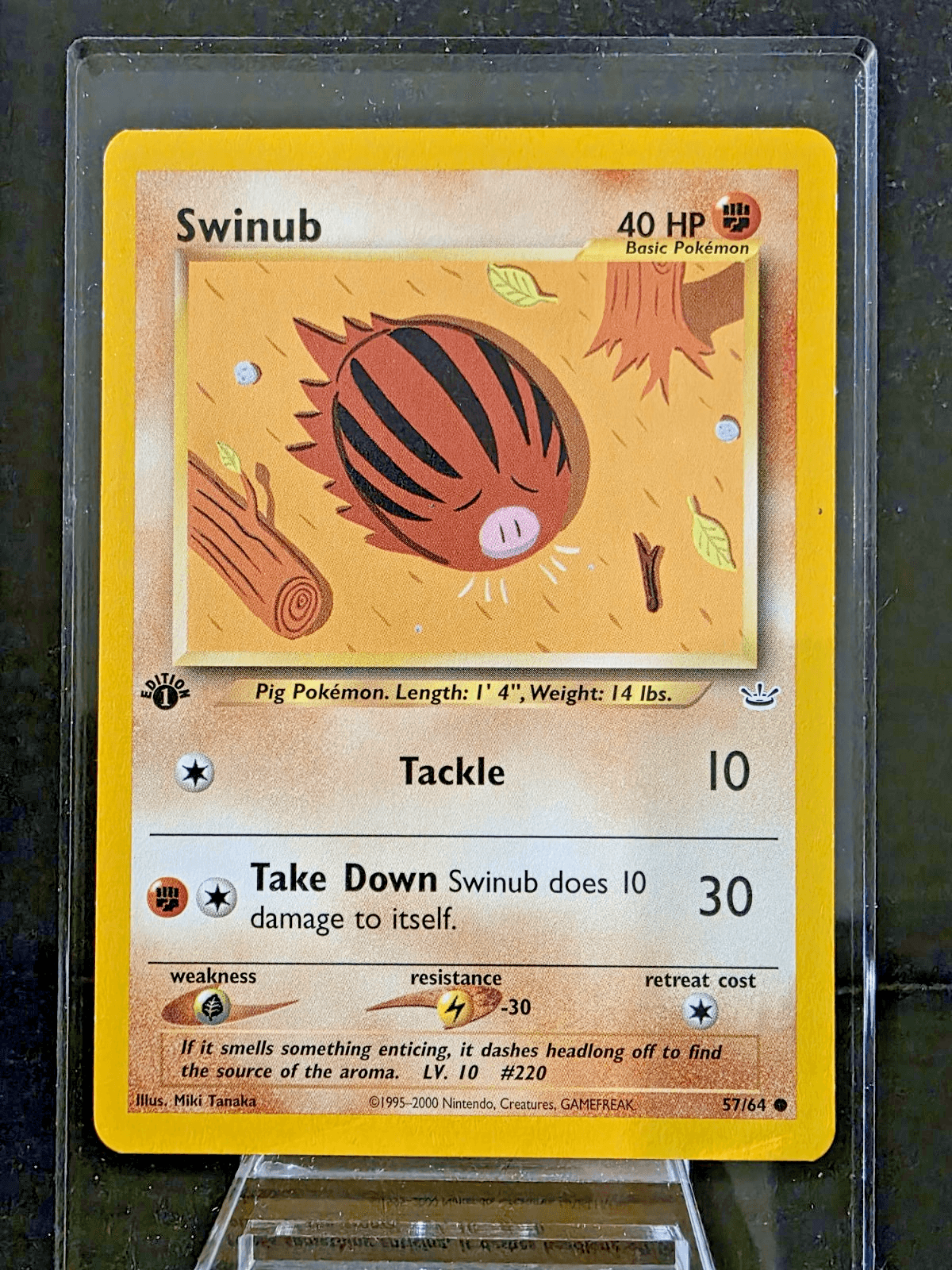 Pokemon TCG Swinub 1st Edition Neo Revelation 57/64 NM