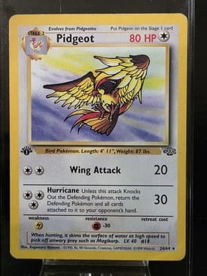 Pokémon TCG Pidgeot 1st Edition Jungle non holo Rare 24/64 LP