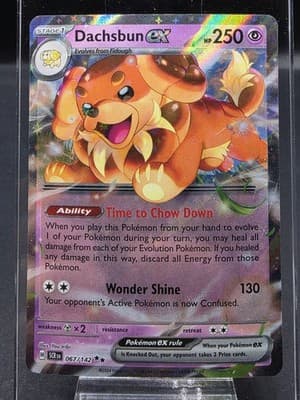 Pokemon TCG Dachsbun ex 67/142 Double Rare Stellar Crown Near Mint