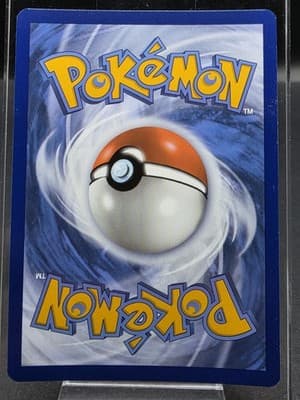 Pokemon TCG Dachsbun ex 67/142 Double Rare Stellar Crown Near Mint - Thumbnail 2