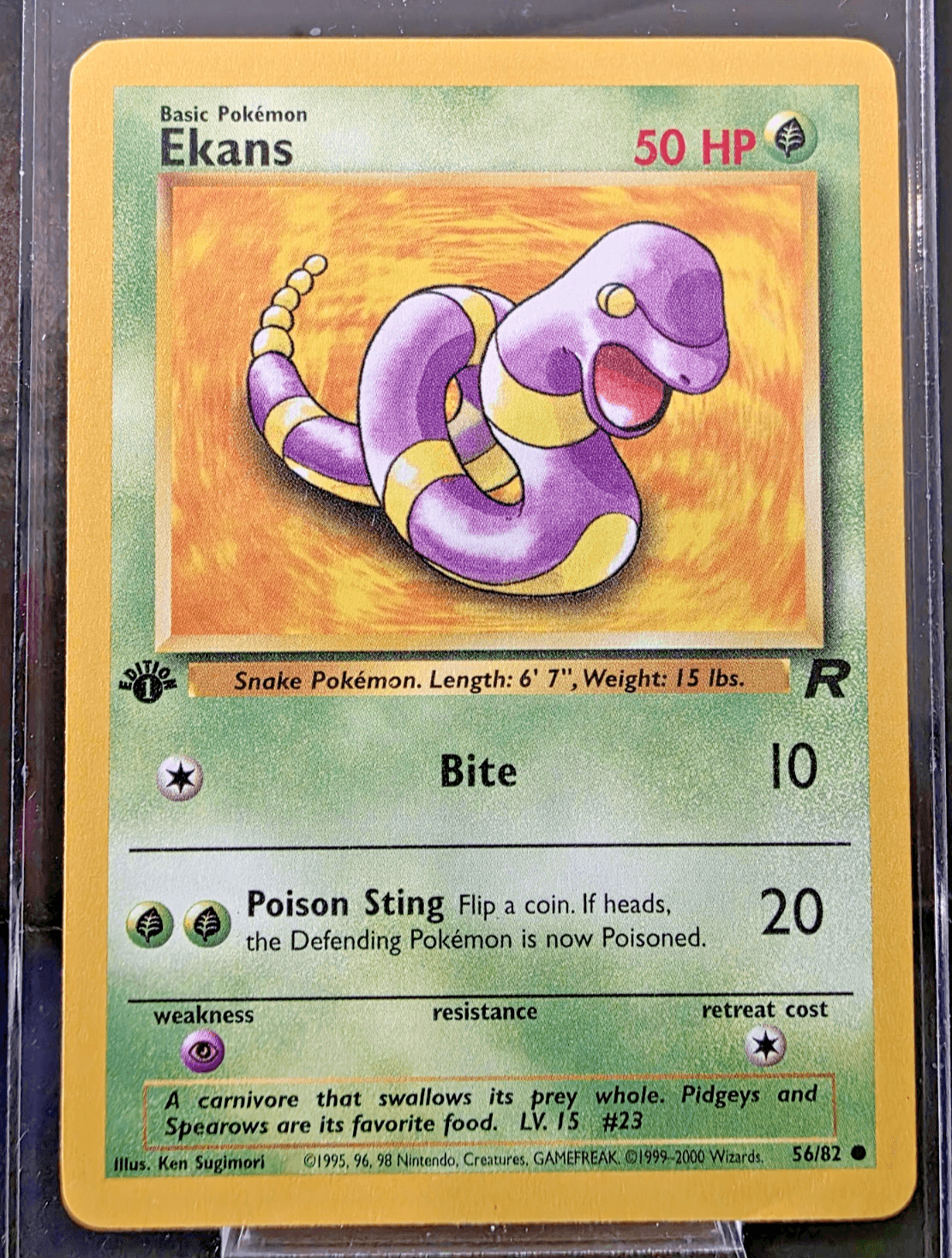 Pokémon TCG Ekans 1st Edition Team Rocket 56/82 Common NM