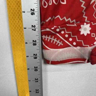 GVAPI Red Bandana Cargo Pants Mens 32 x 30 Aaron Wilhelm Limited Edition 1 / 100 - Thumbnail 10