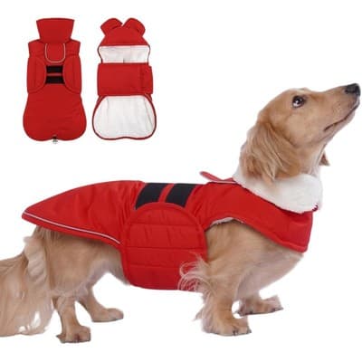 LeLe Pet Dachshund Winter Coat Warm Fleece Lining XXL - Image 1