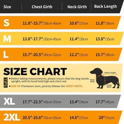 LeLe Pet Dachshund Winter Coat Warm Fleece Lining XXL - Thumbnail 3