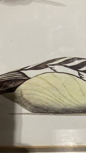 Ducks Unlimited Robert Helty #2257 Limited Edition Framed Numbered & Signed!!! - Thumbnail 7