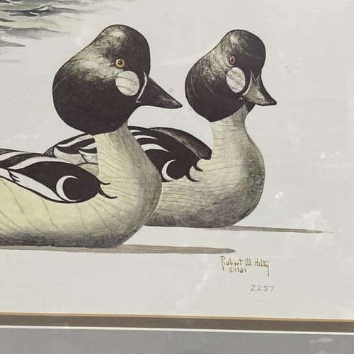 Ducks Unlimited Robert Helty #2257 Limited Edition Framed Numbered & Signed!!! - Thumbnail 3