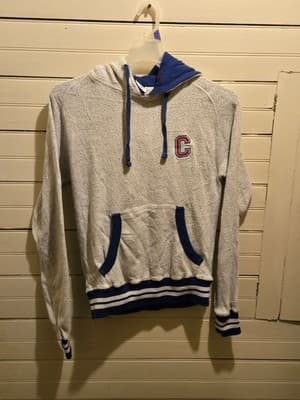 Hoodie Mens M Gray Blue Pullover Terry Fleece Kangaroo C Patch Drawstring Stripe - Image 1