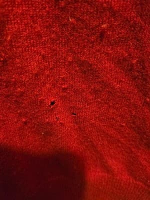 Club Room Sweater Mens M V-Neck 2-Ply 100% Cashmere Red Estate Holes Preowned - Thumbnail 6