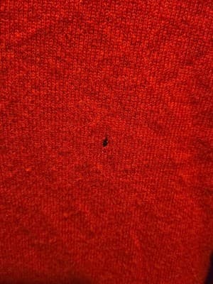 Club Room Sweater Mens M V-Neck 2-Ply 100% Cashmere Red Estate Holes Preowned - Thumbnail 3