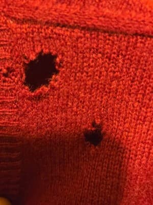 Club Room Sweater Mens M V-Neck 2-Ply 100% Cashmere Red Estate Holes Preowned - Thumbnail 4