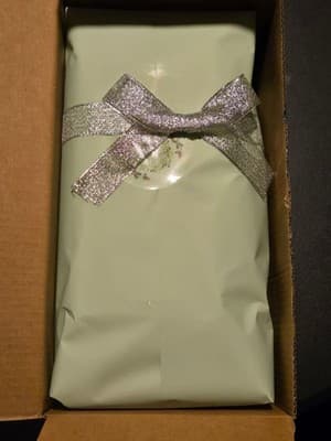 Misvivaus Cosmetic Bag Women's Silver Makeup Pouch Travel Organizer Gift Wrapped - Image 1