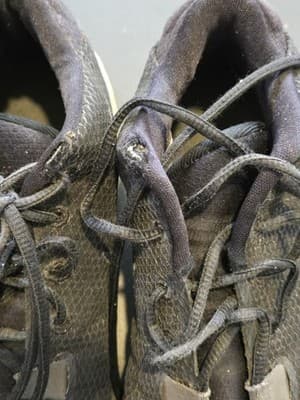 Nike Zoom Freak 1 Giannis Antetokounmpo BQ5422-001 Black White Size 11 Basketbal - Thumbnail 2