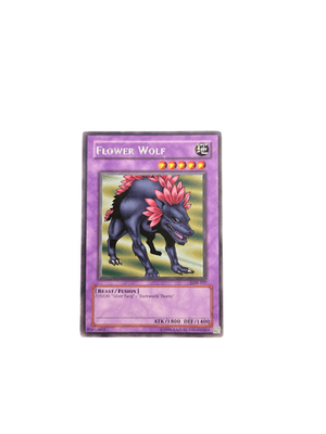 YuGiOh Fusion Monsters Lot Mokey Mokey King St Joan Neo-Spacian Giltia - Thumbnail 7