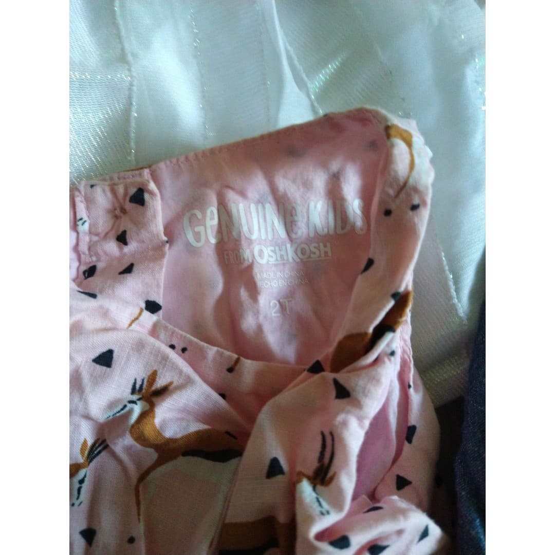 Girl Dress Bundle(4) - 18mo(1) - 2T(3) - Cat & Jack & Osh Kosh - Thumbnail 2