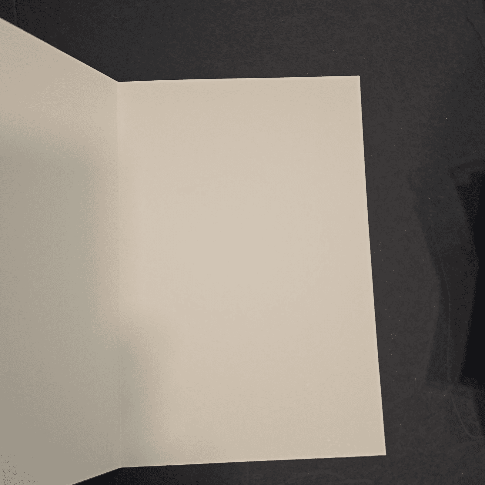 Trump - Happy Mother's Day "You are Greatest Wife. Wonderful..." Blank inside - Thumbnail 2