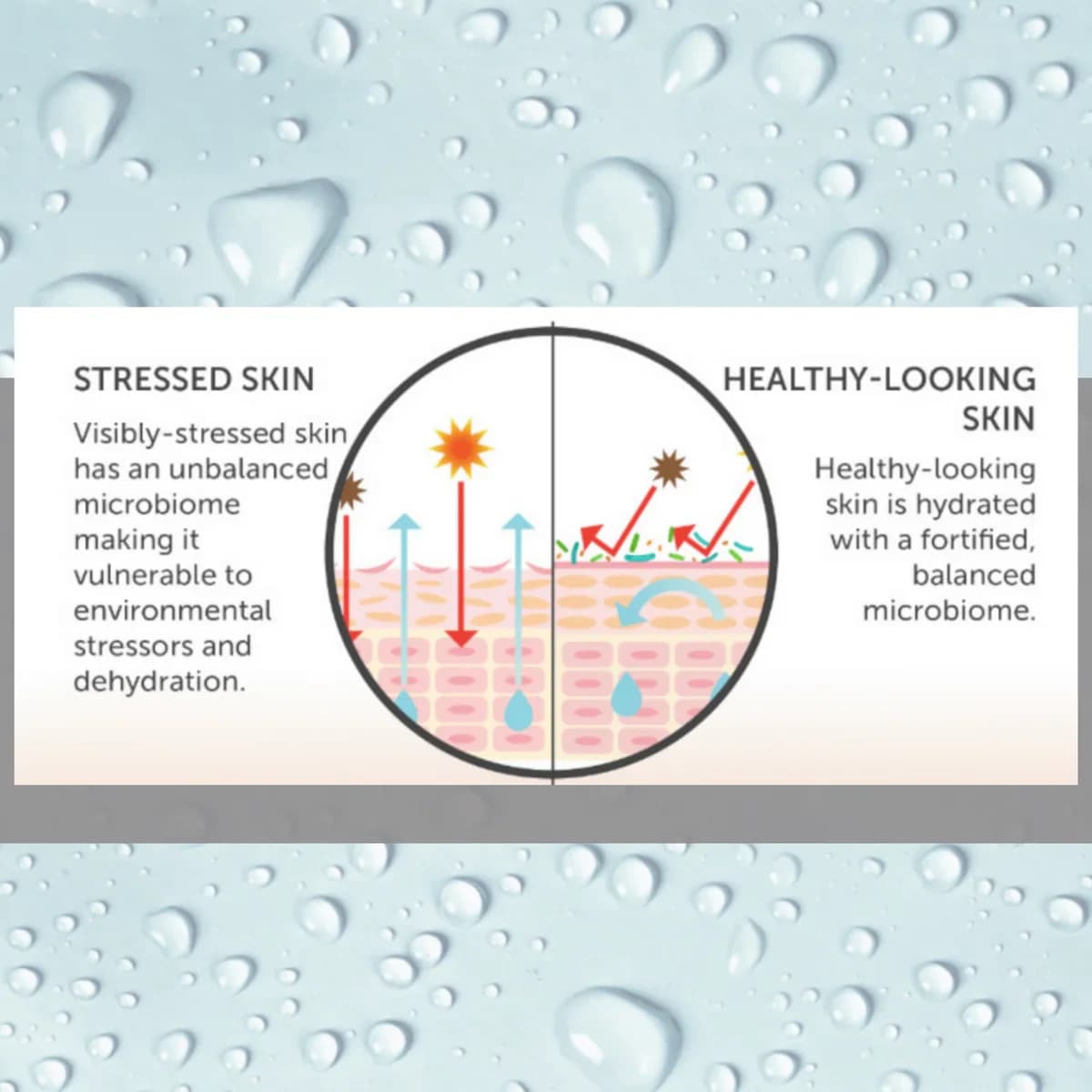 Consult Beaute Microbiome Mask | Pre + Probiotic | 3.4 oz | Fast Ship | NEW! - Thumbnail 6