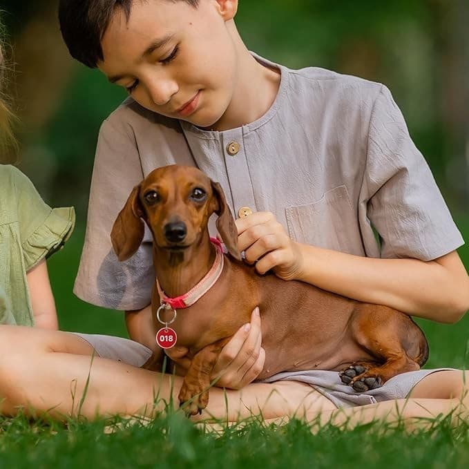 50 Red Round Key Tags – Numbered 151–200 – Durable Metal ID Tags – Buy Now! - Thumbnail 13