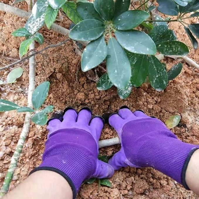 Garden Gloves w/ Claws & Storage Bag – Purple – Waterproof, Dig Fast – 2 Pairs - Thumbnail 8