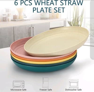 Colorful Wheat Straw Plates Set of 6 | 10" Eco Dinnerware | Microwave Safe - Thumbnail 2
