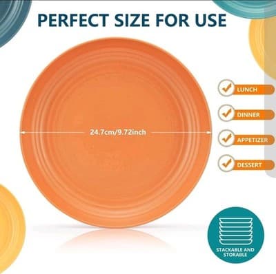 Colorful Wheat Straw Plates Set of 6 | 10" Eco Dinnerware | Microwave Safe - Thumbnail 3