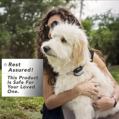 Dog Training Collar Pink Bring – Waterproof, Remote Control, 990ft Range -XSmall - Thumbnail 2