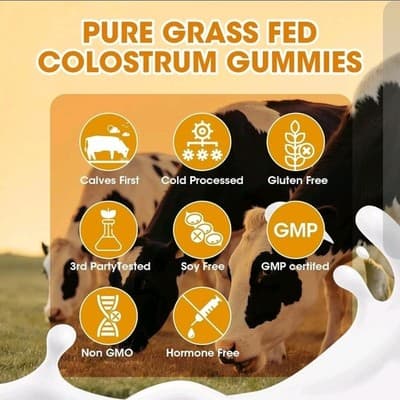 Colostrum Powder 1500mg 60 Gummies for Gut Health, Immunity, Cognitive Broost - Thumbnail 5