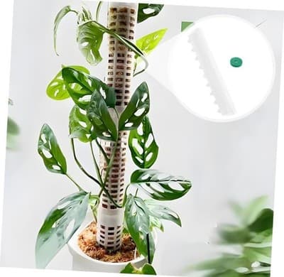 Plastic Moss Pole for Plants Climbing Support Interlocking 3Pcs 1ftx2ft