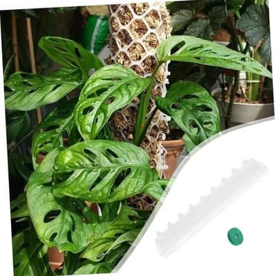 Plastic Moss Pole for Plants Climbing Support Interlocking 3Pcs 1ftx2ft - Thumbnail 5