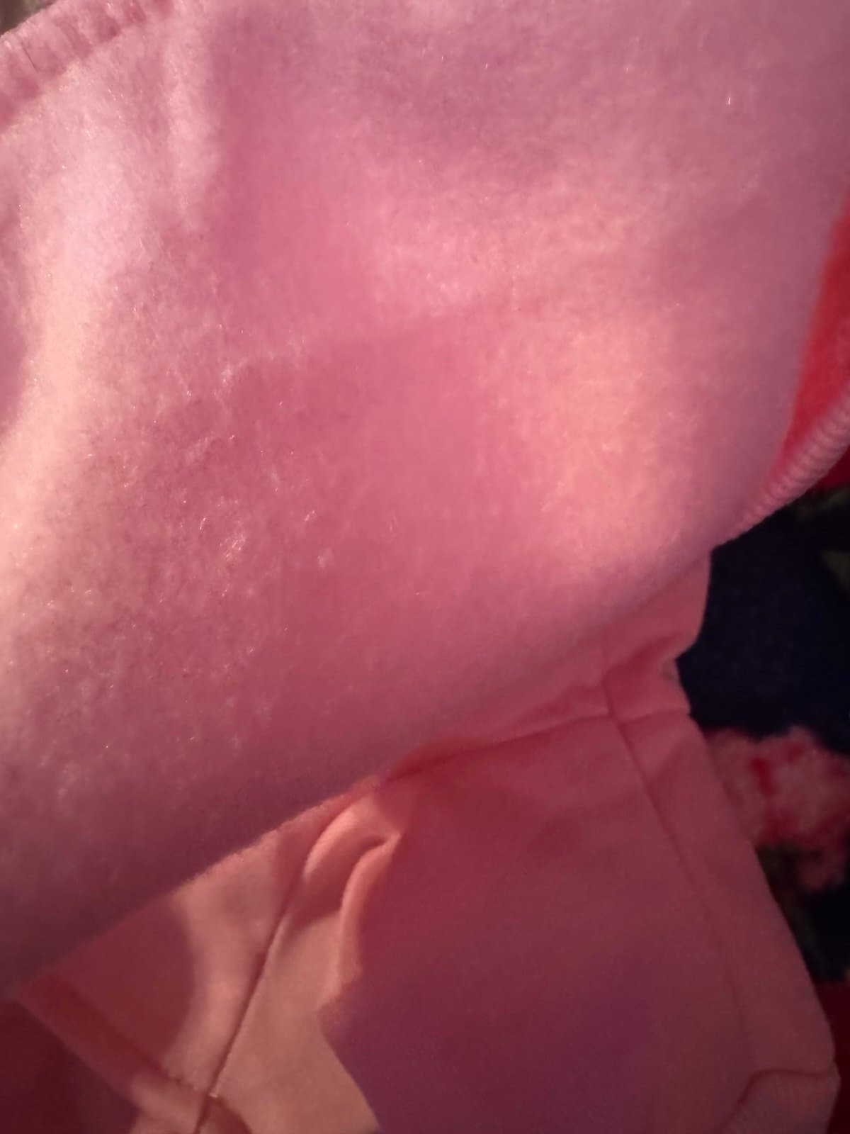 Gilmore girls Pet Set - Thumbnail 4