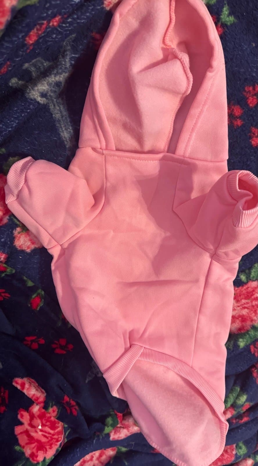 Gilmore girls Pet Set - Thumbnail 5