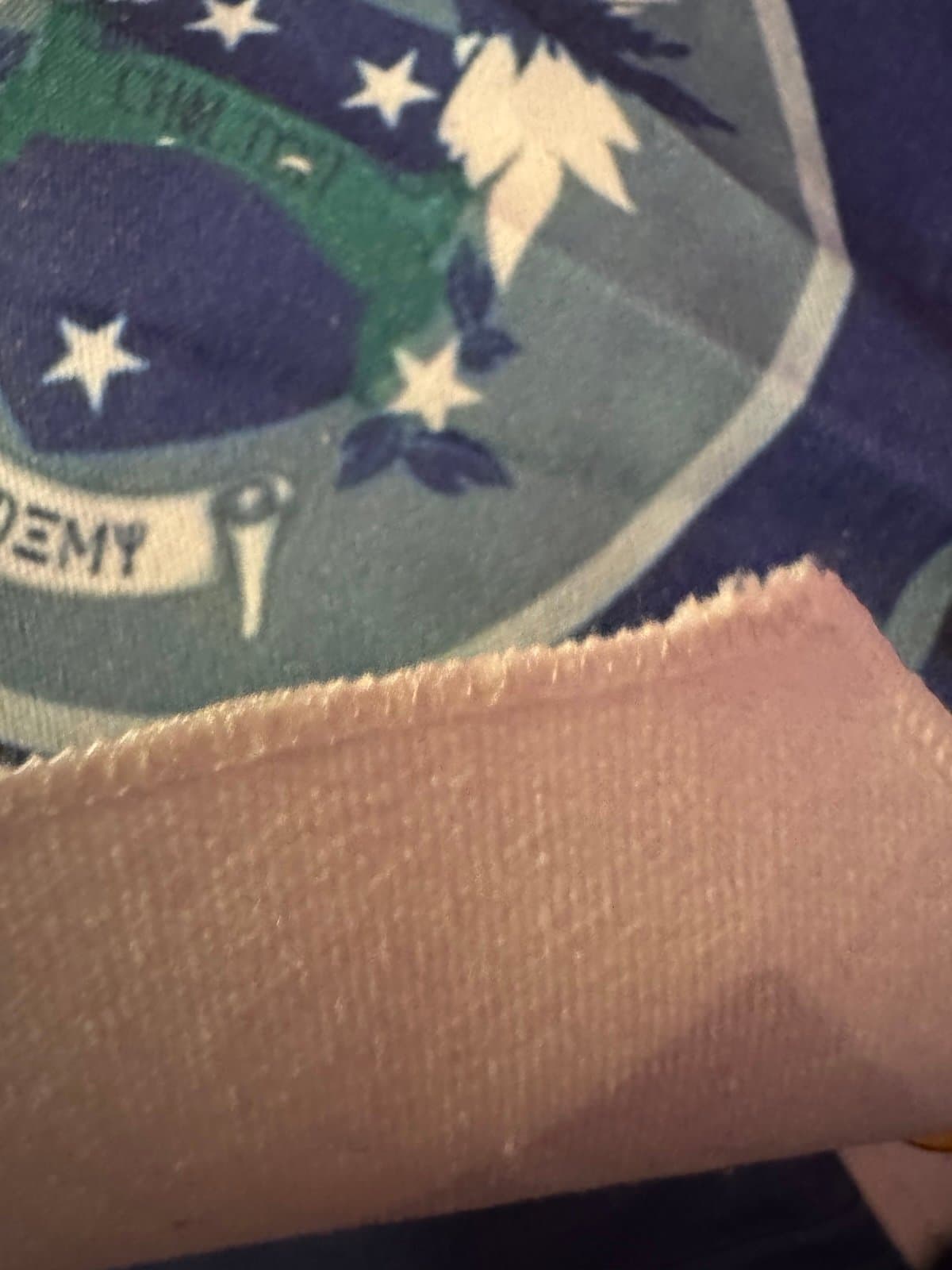 Gilmore Girls Chilton banner - Thumbnail 3