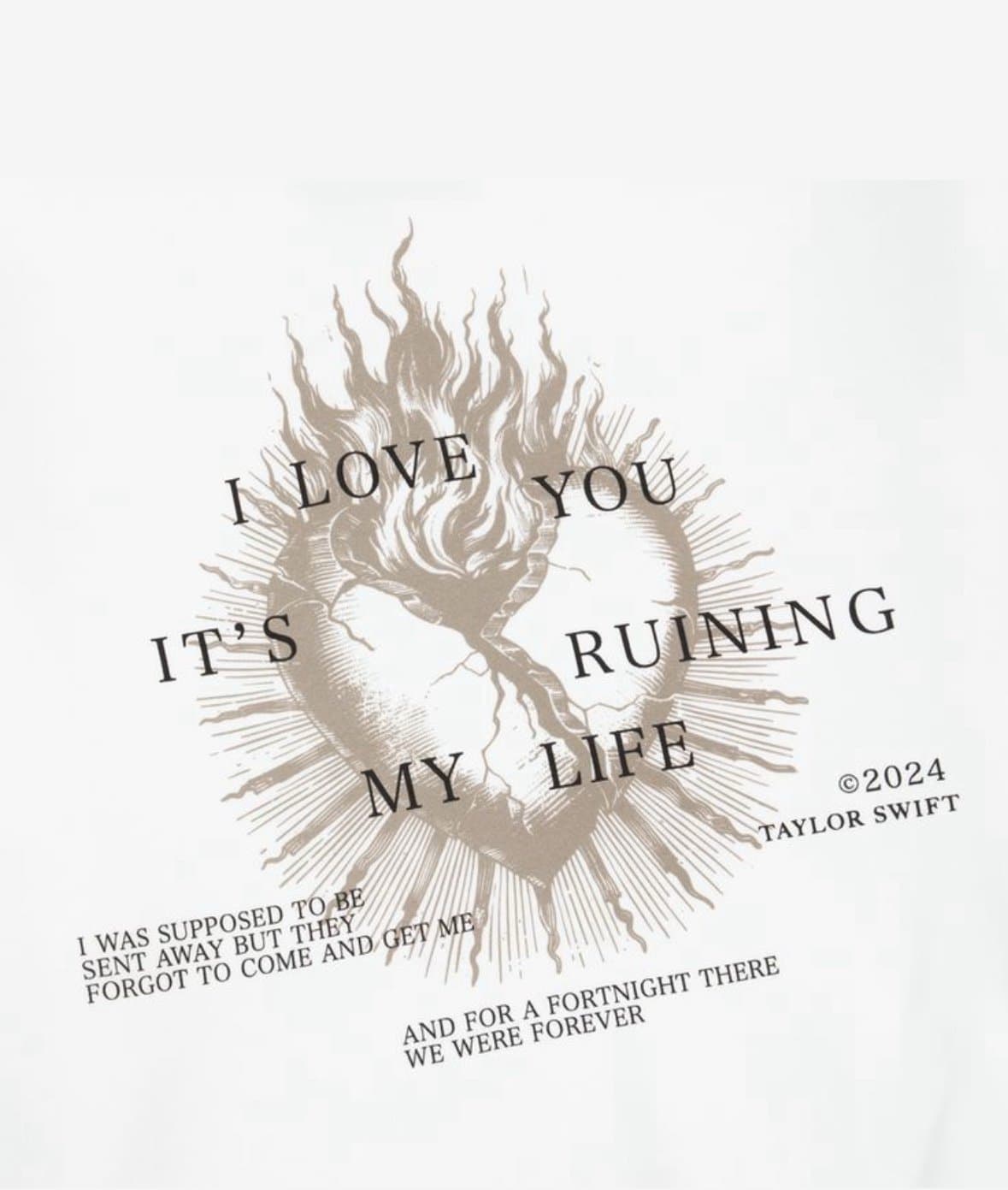 Taylor Swift gift basket - Thumbnail 12