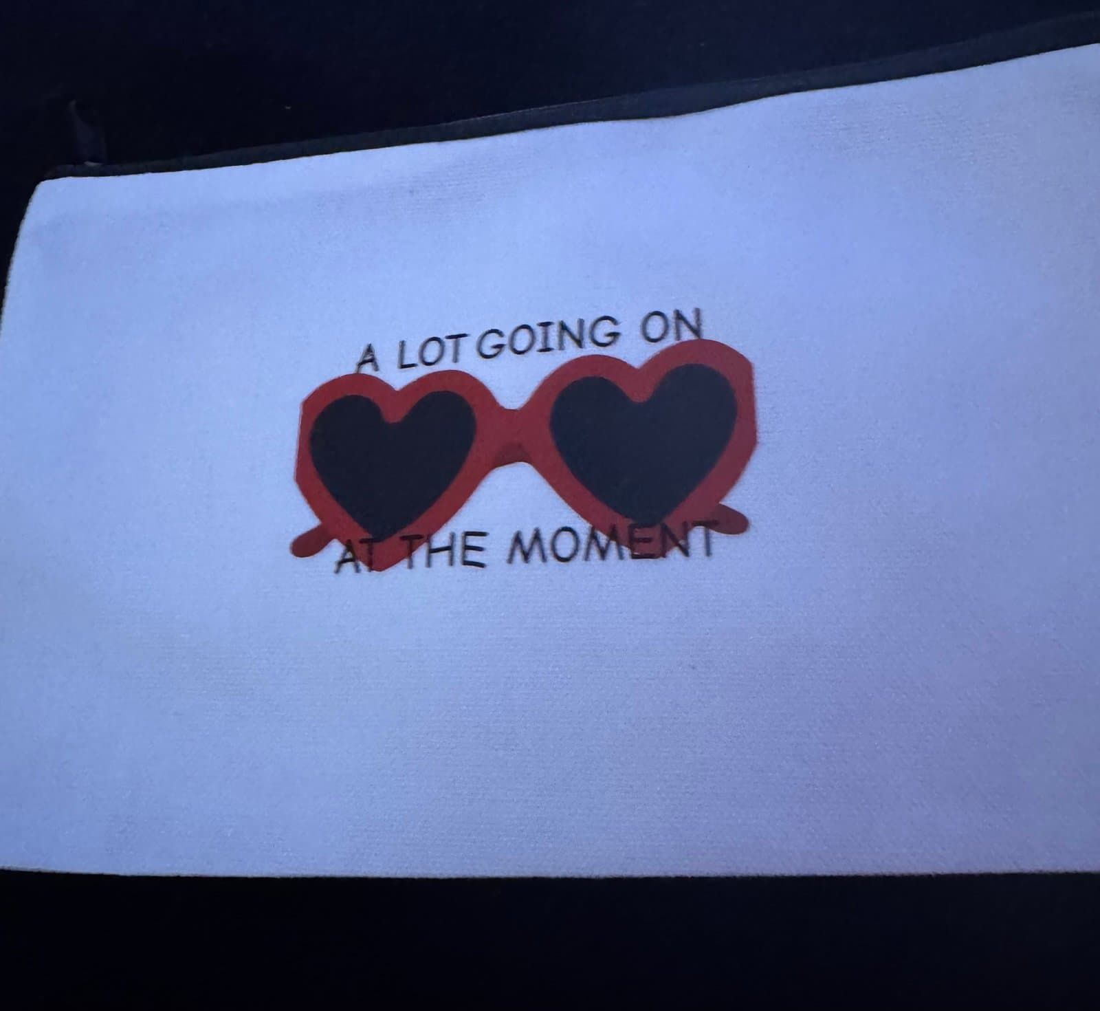 Taylor Swift cosmetic bag