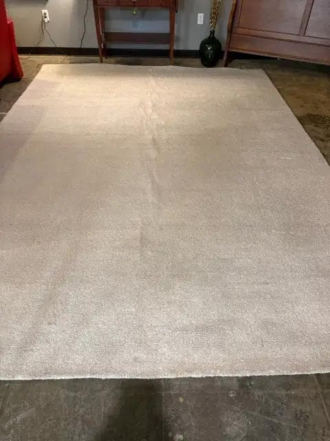 9 X 12 Safavieh Abstract Ivory And Beige Rug - Image 1