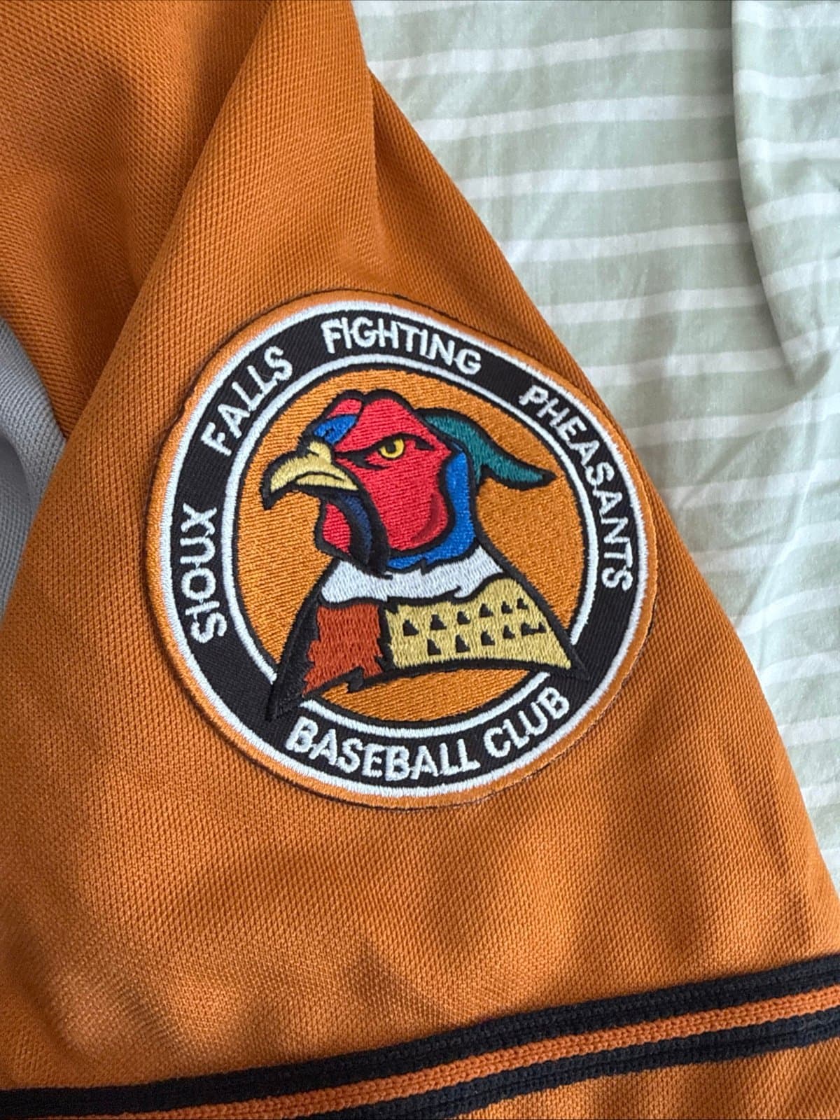 MEN’S OT SPORTS SIOUX FALLS FIGHTING PHEASANTS BASEBALL JERSEY MiLB SZ M - RARE - Thumbnail 3